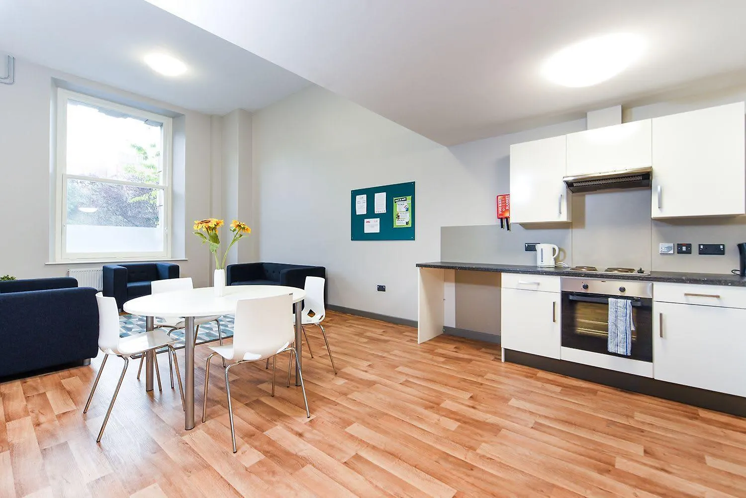 For Students Only Student Roost John Bell House Belfast Apartment United Kingdom